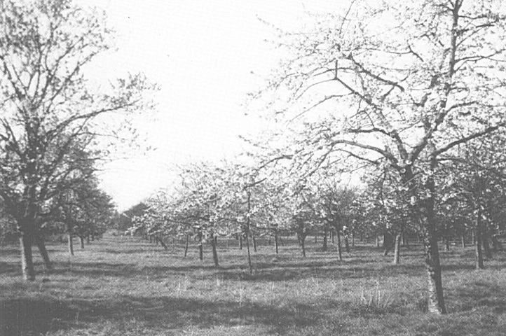 10-01
