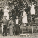 Cherry Pickers
